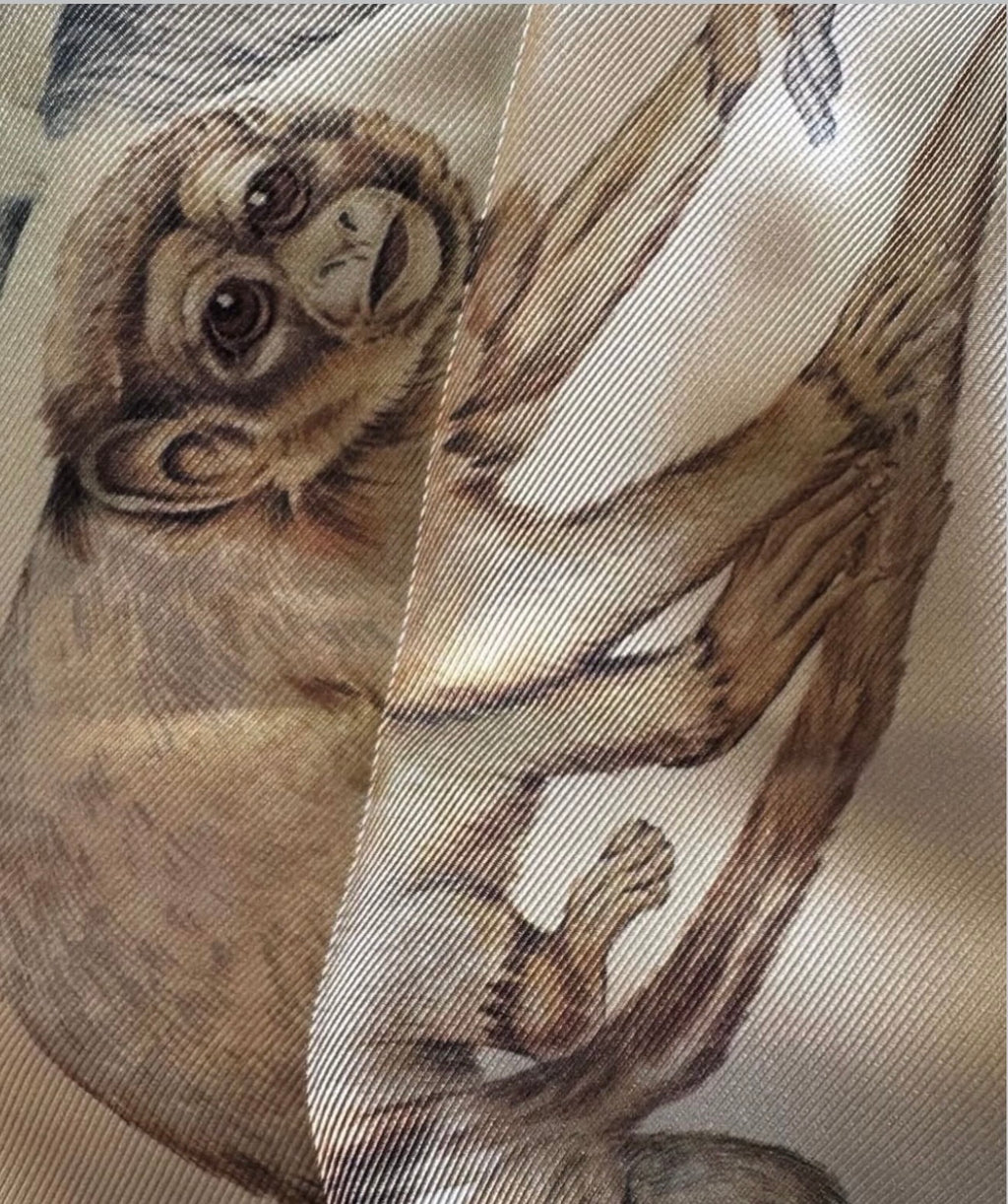 The Monkey Ad Campaign Pants