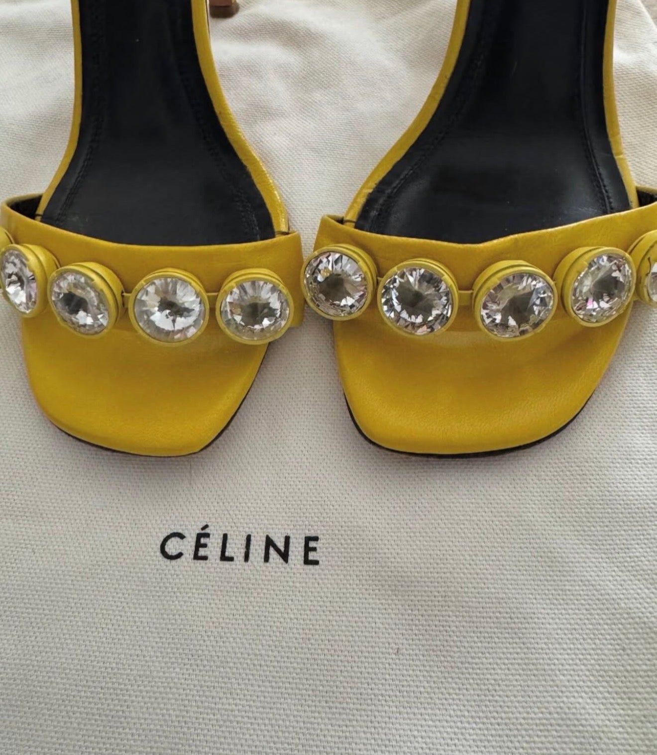 The Riviere Strass Heels
