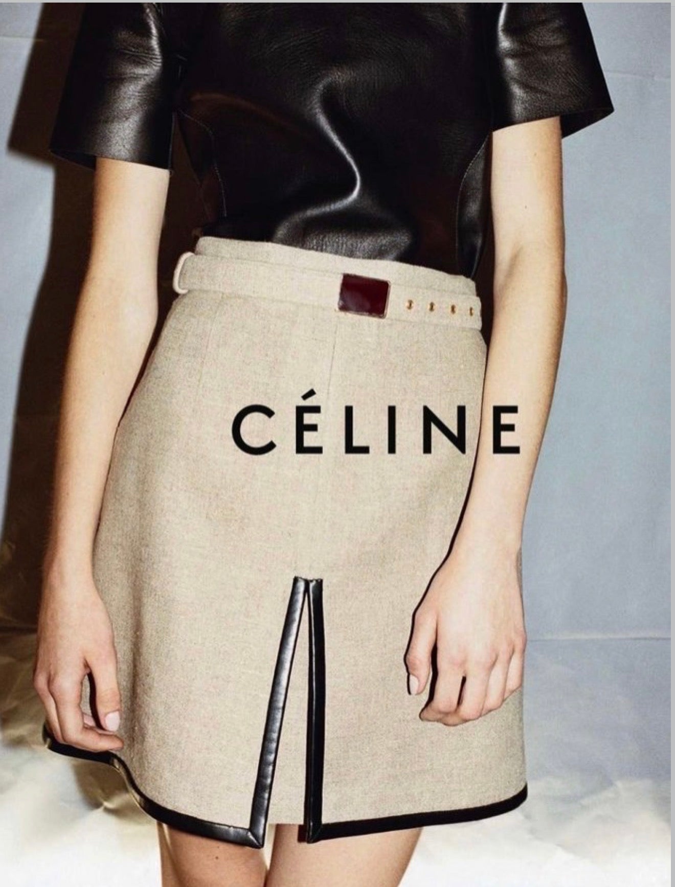 The Ad Campaign Mini Skirt