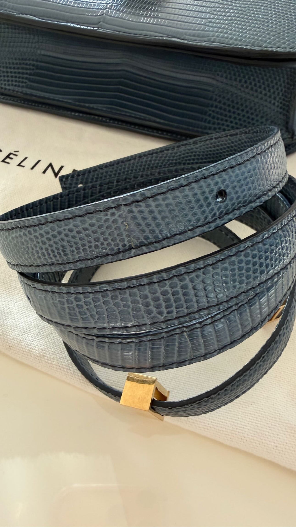 The Classic Medium Box Bag in Lizard