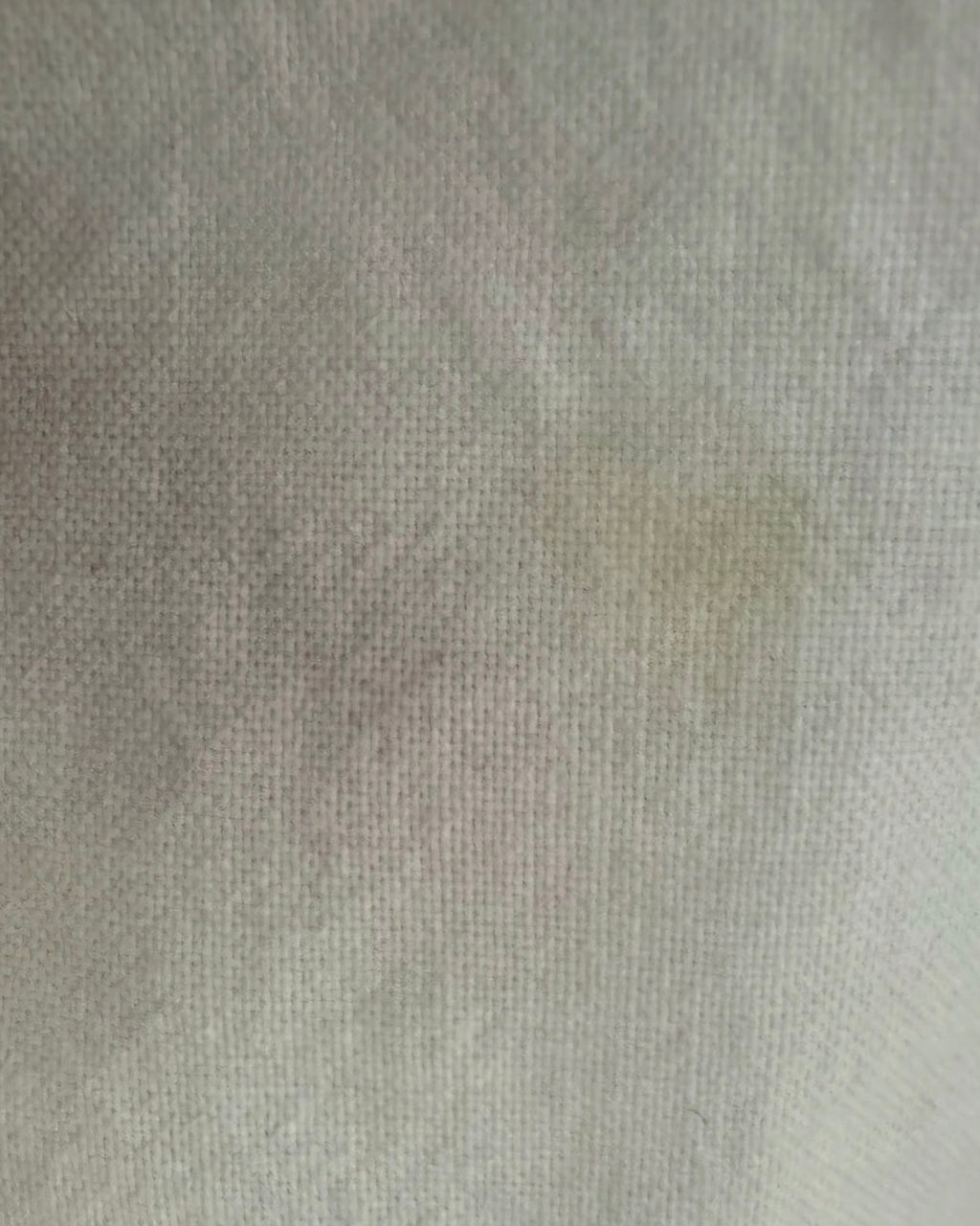The White Cotton Dress