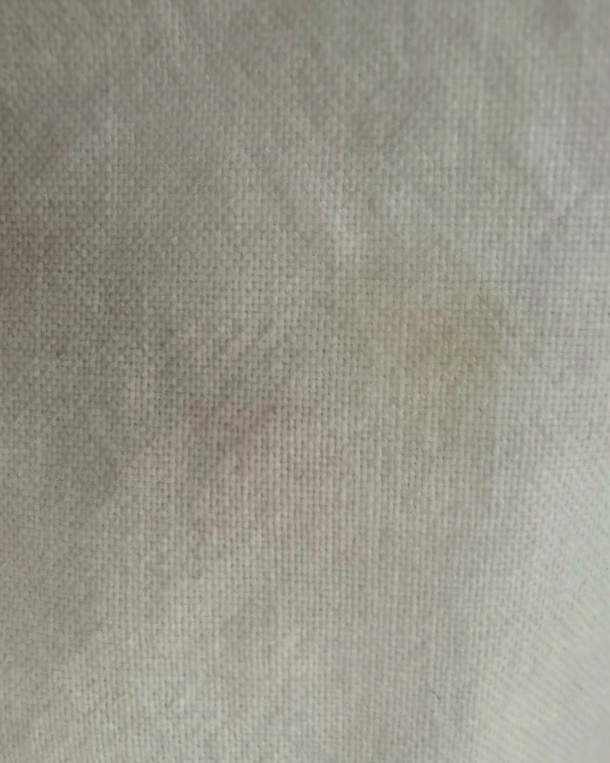 The White Cotton Dress