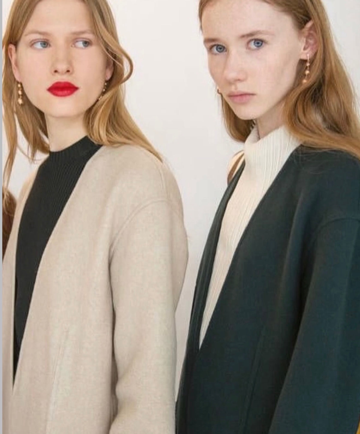 The Ad Campaign Gold Brass Earrings