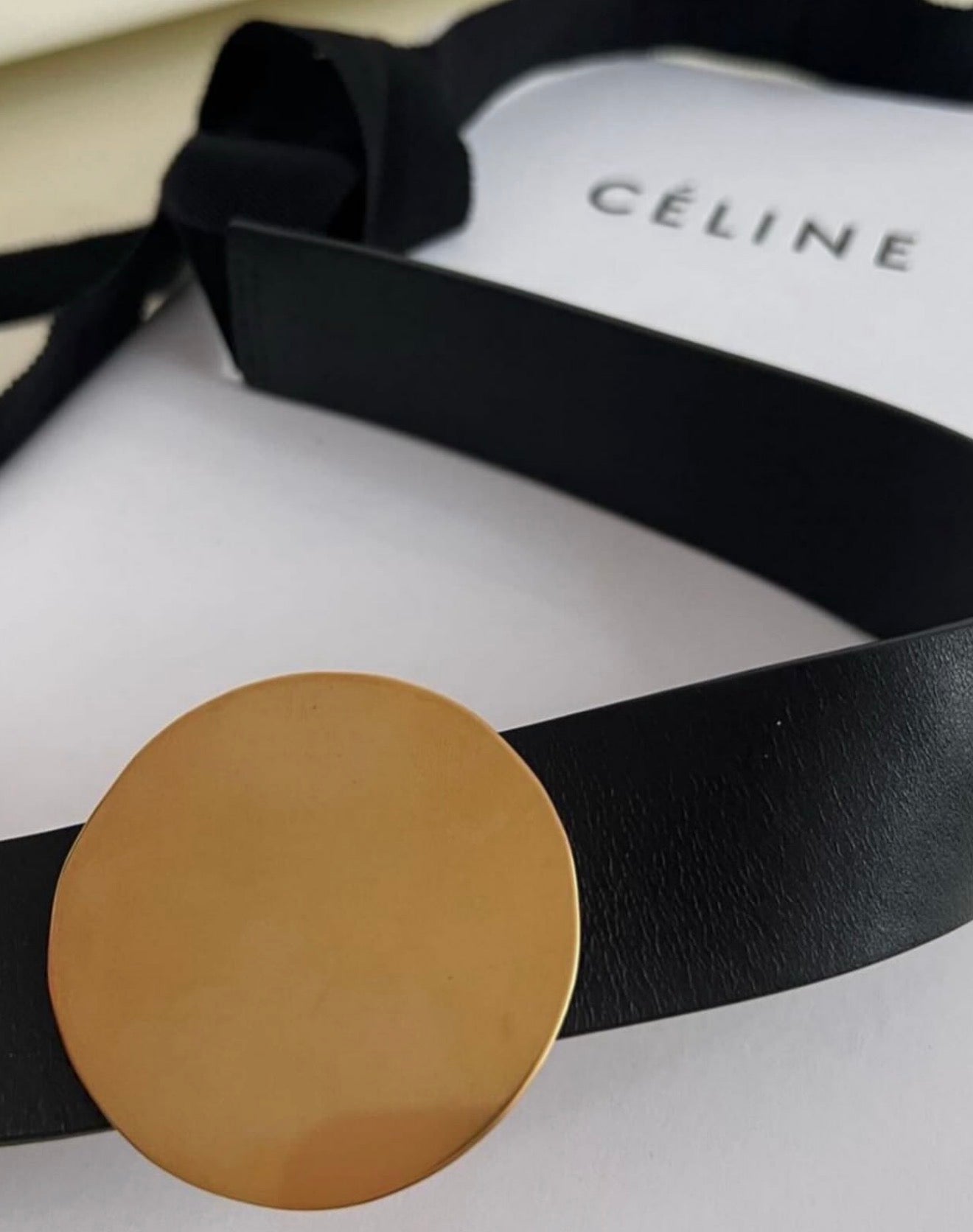 The Gold Plate Belt