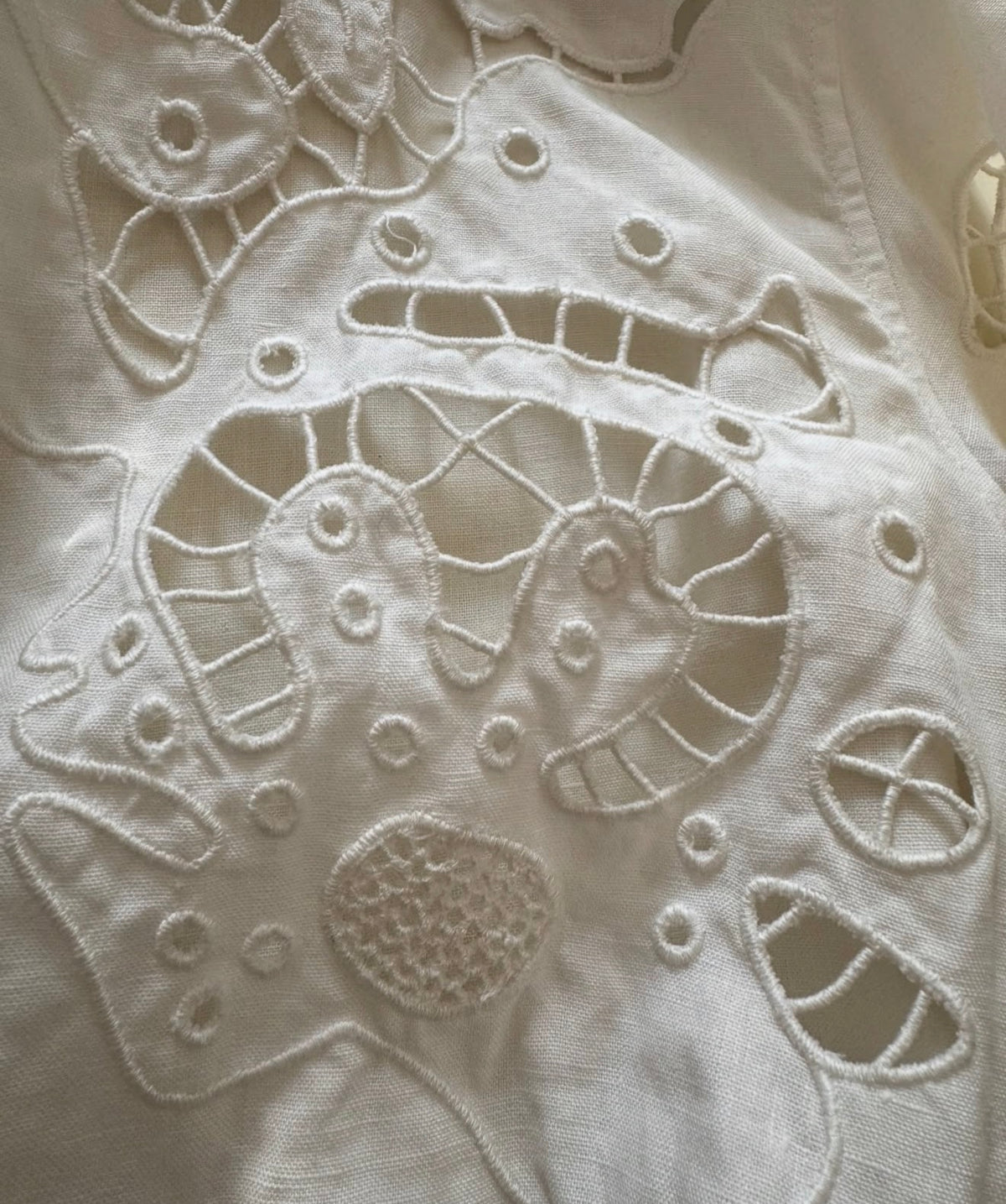 The White Embroidered Shirt