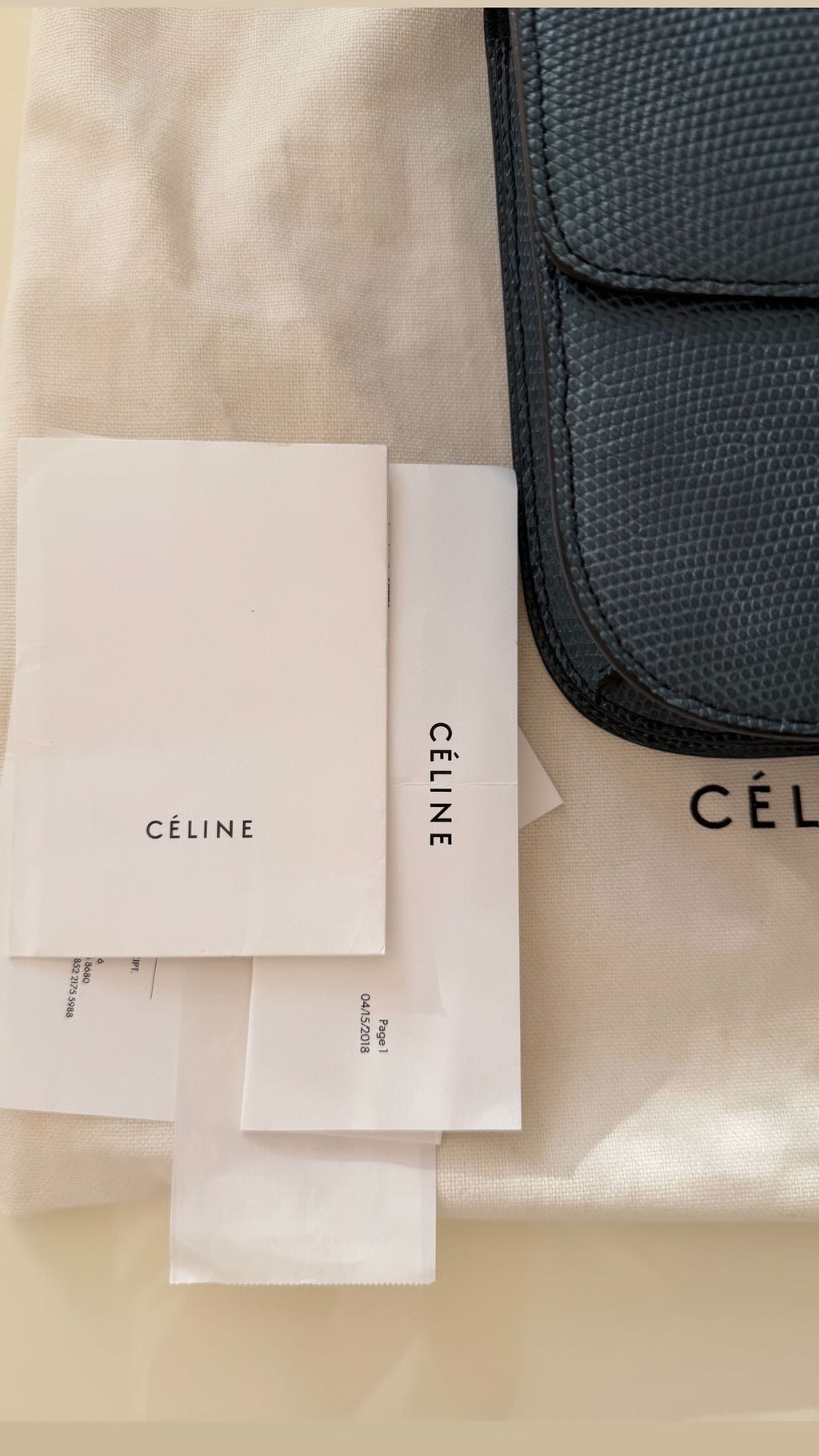 The Classic Medium Box Bag in Lizard