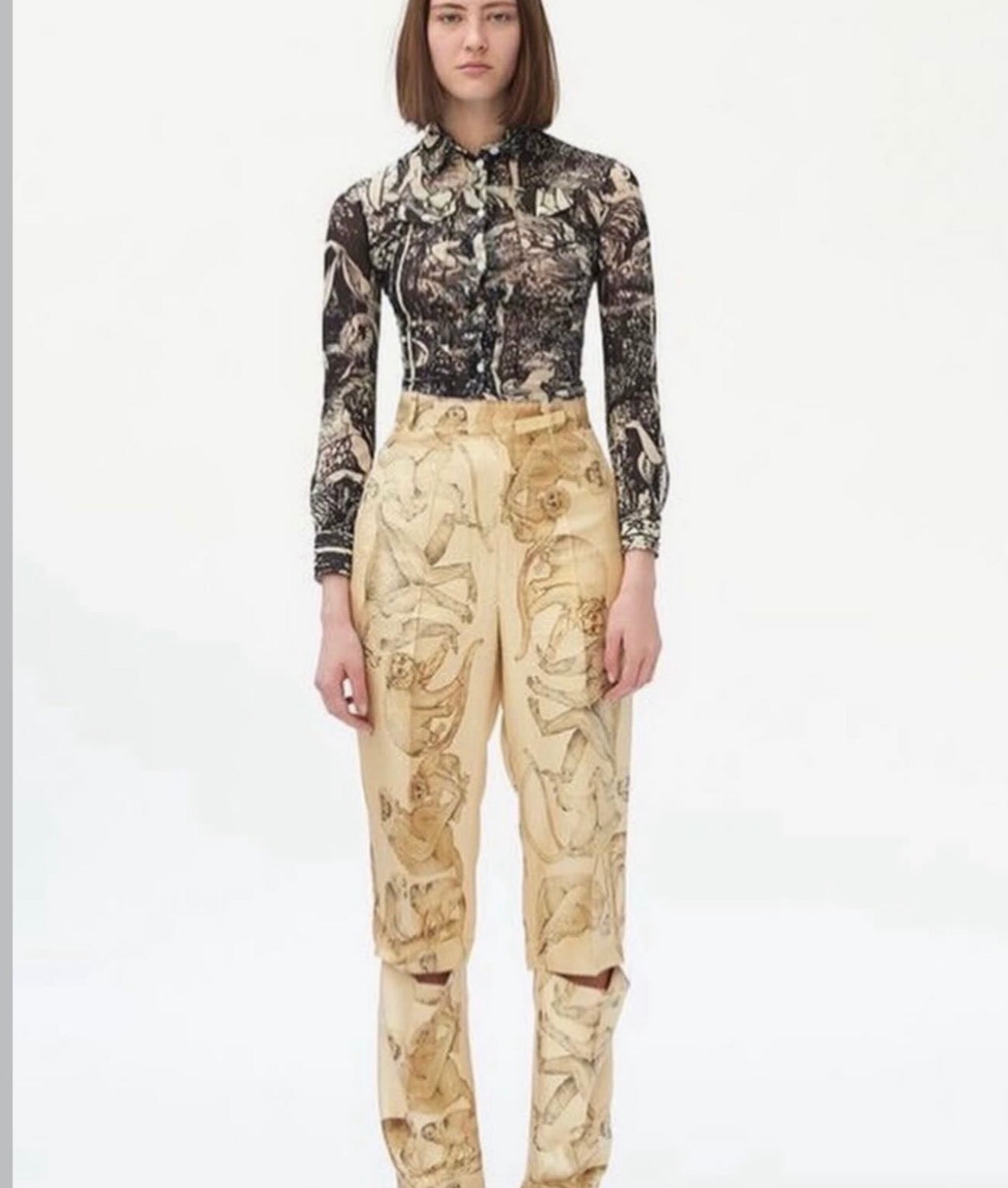 The Monkey Ad Campaign Pants
