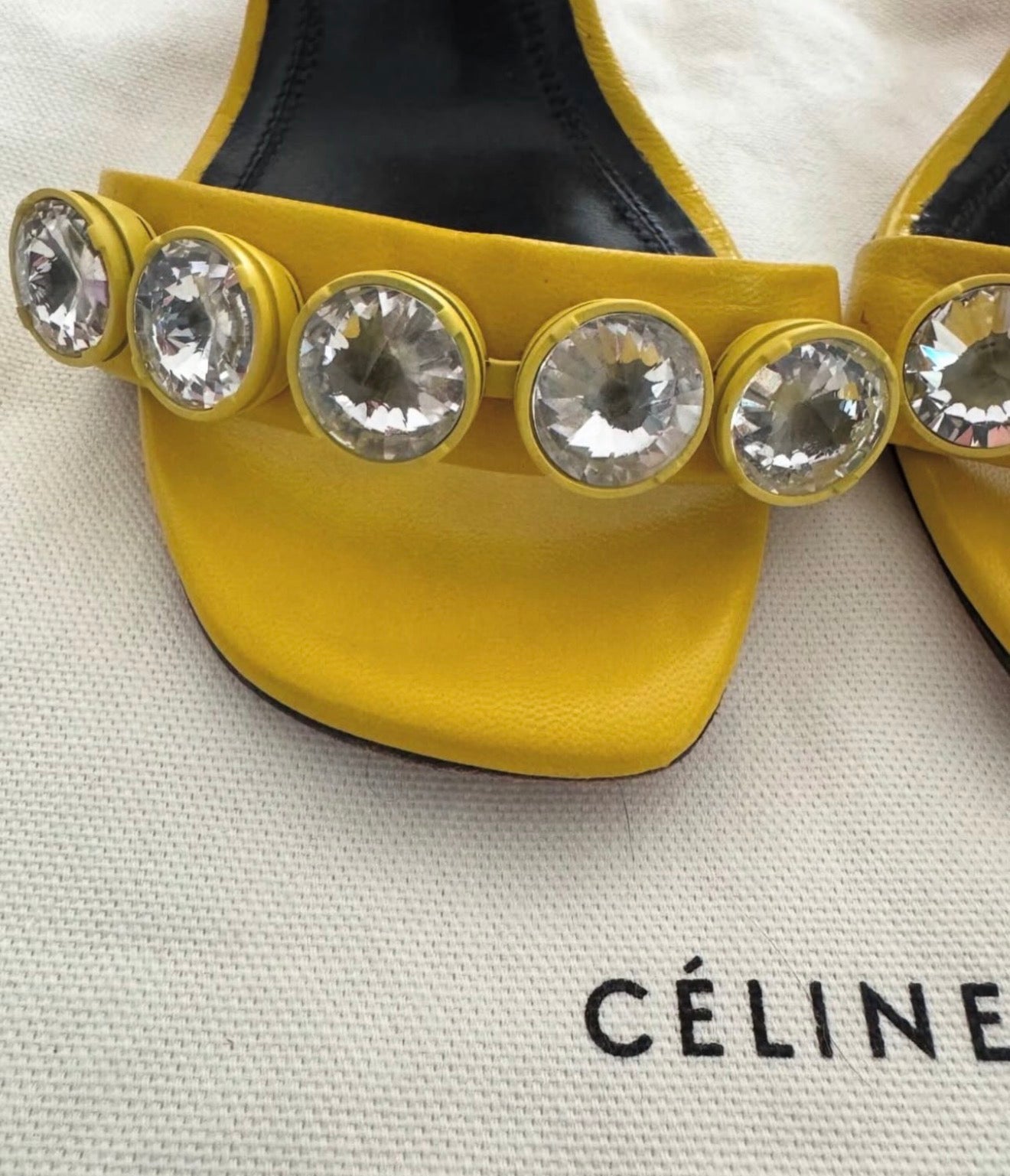 The Riviere Strass Heels
