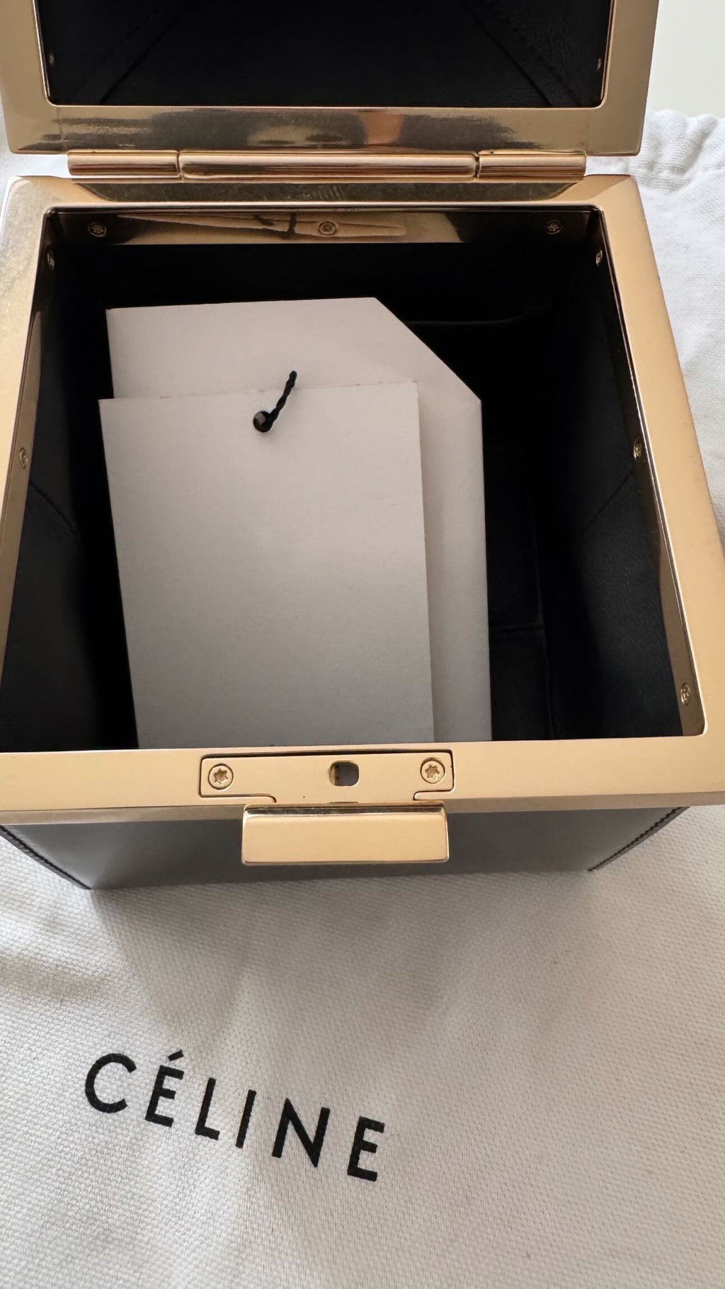 The Box Clasp Minaudiere Bag