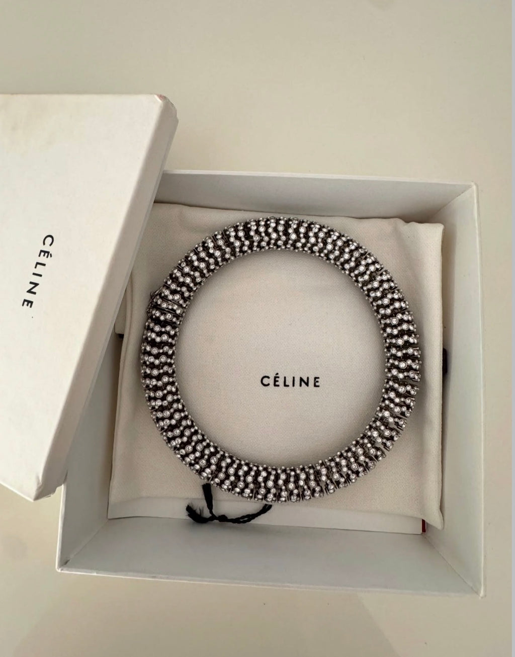 The „ Daria Ad Campaign“ Crystal Necklace