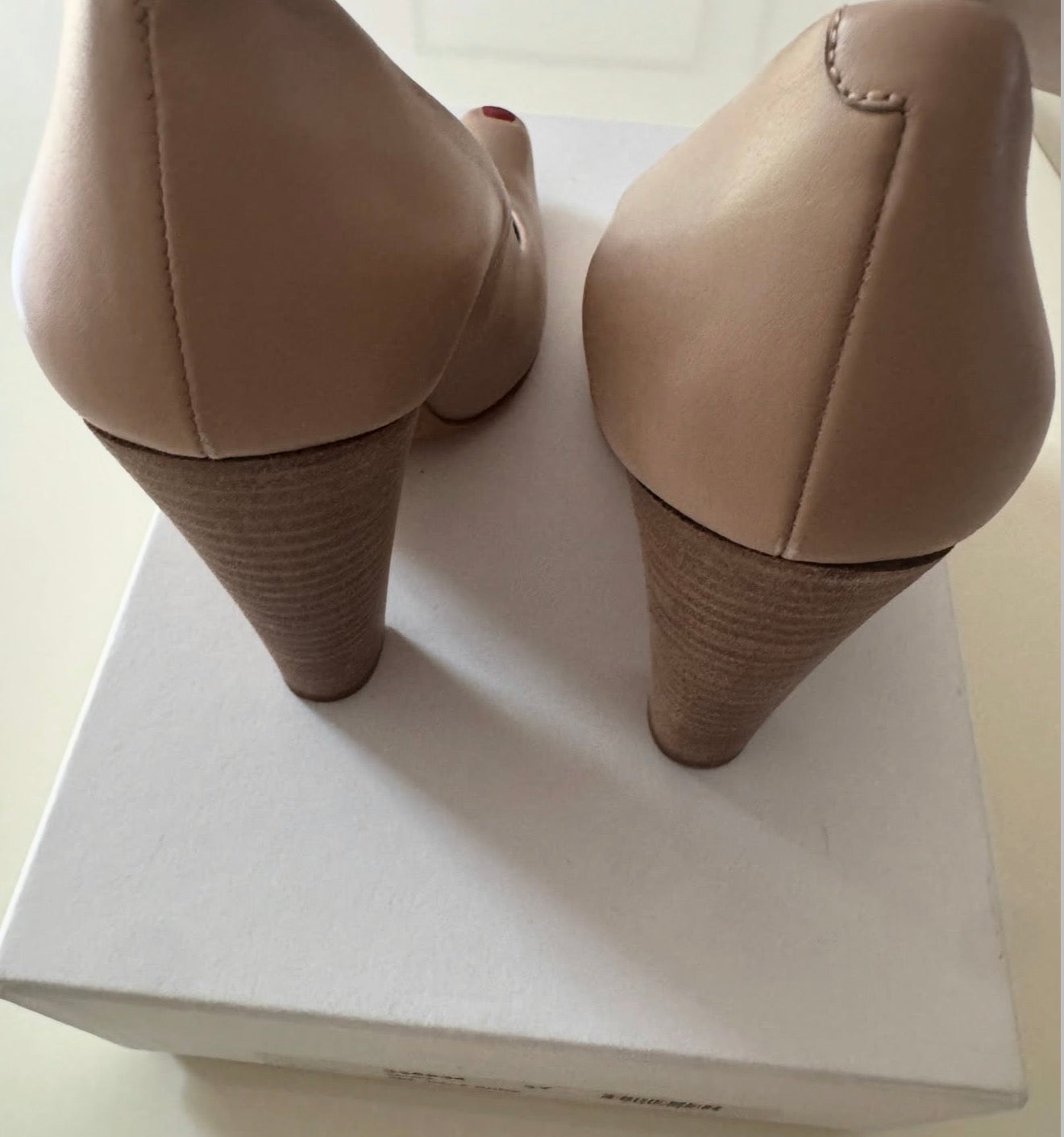 The Tromp L´oeil Pumps
