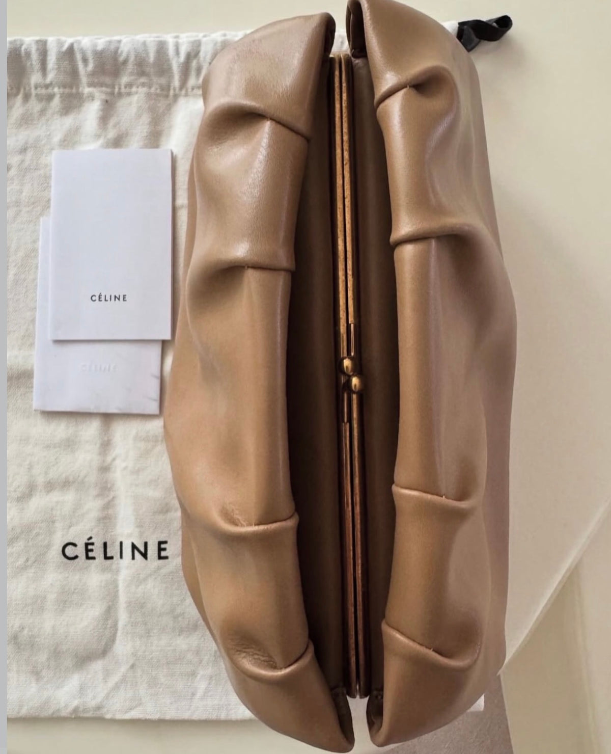 The Purse Clutch
