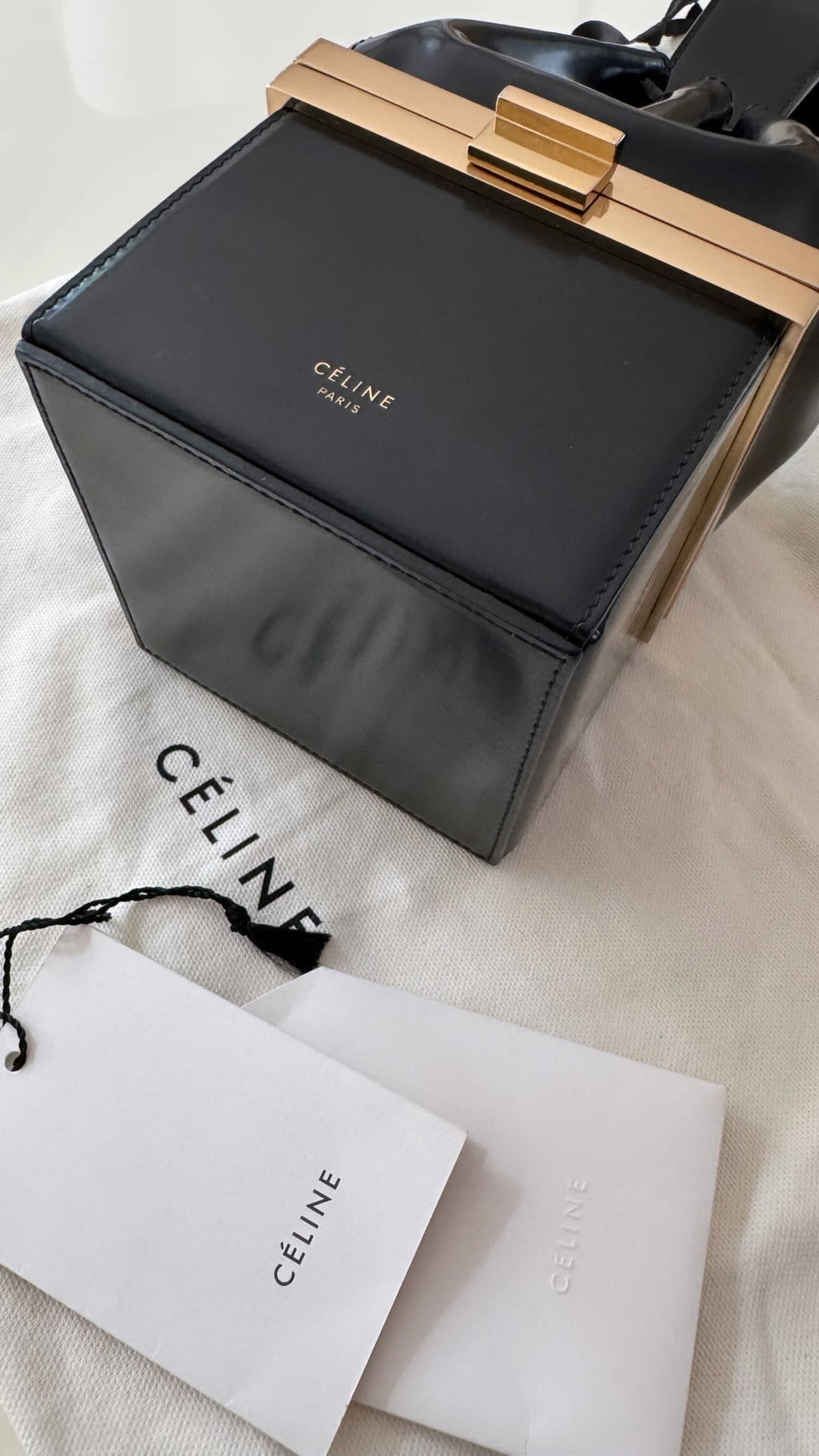 The Box Clasp Minaudiere Bag