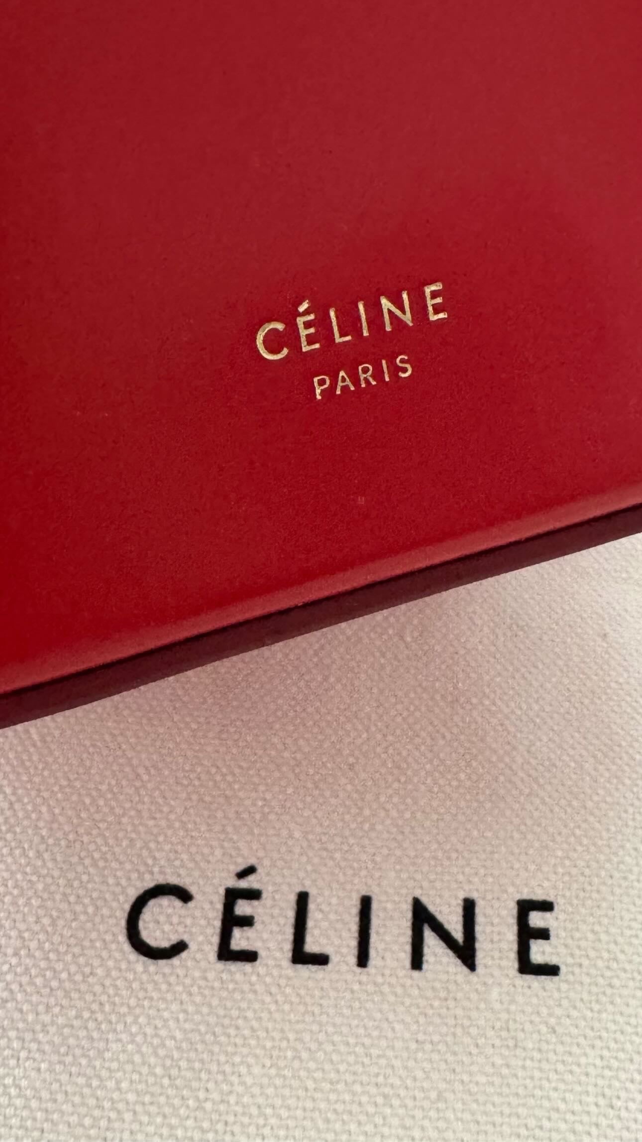 The Box Clasp Minaudiere Bag