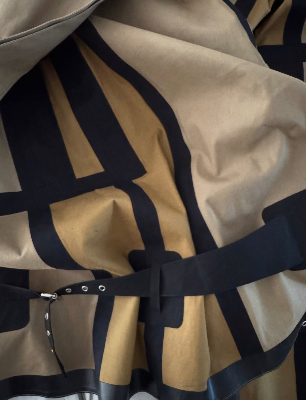 The Mackintosh Coat