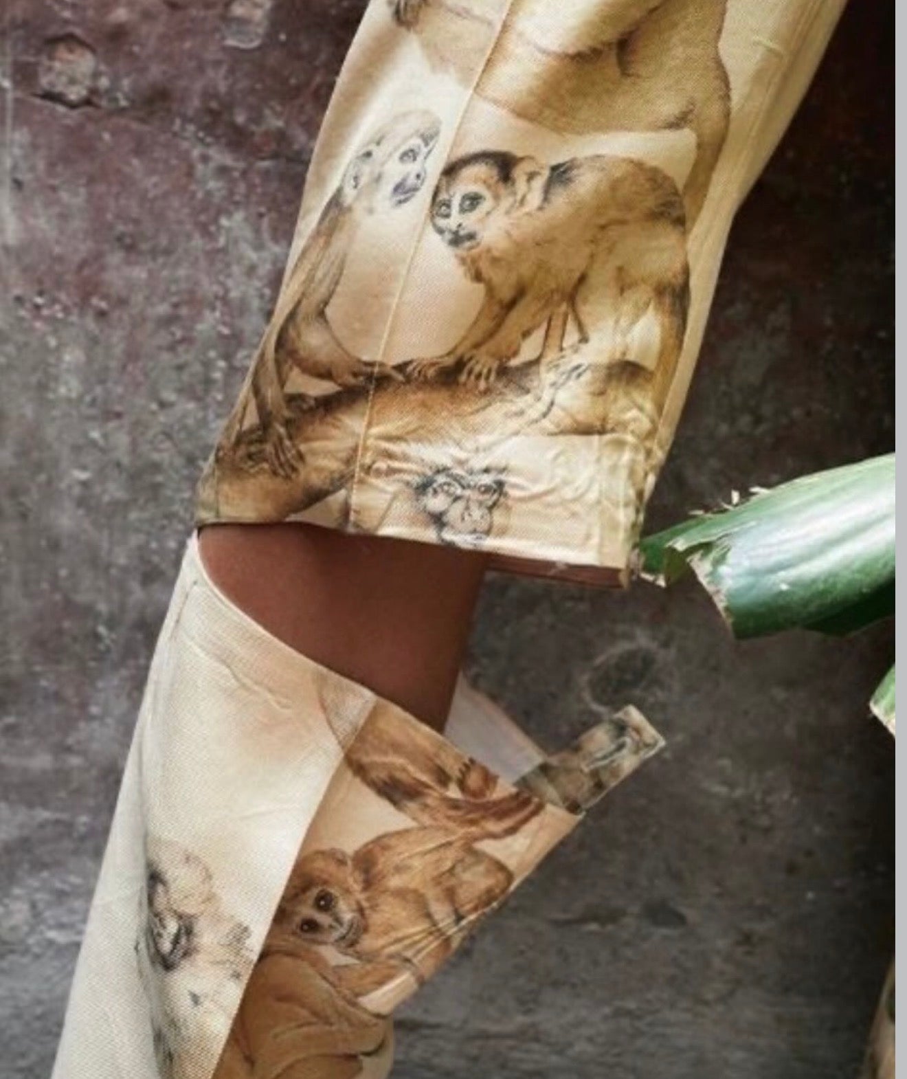 The Monkey Ad Campaign Pants