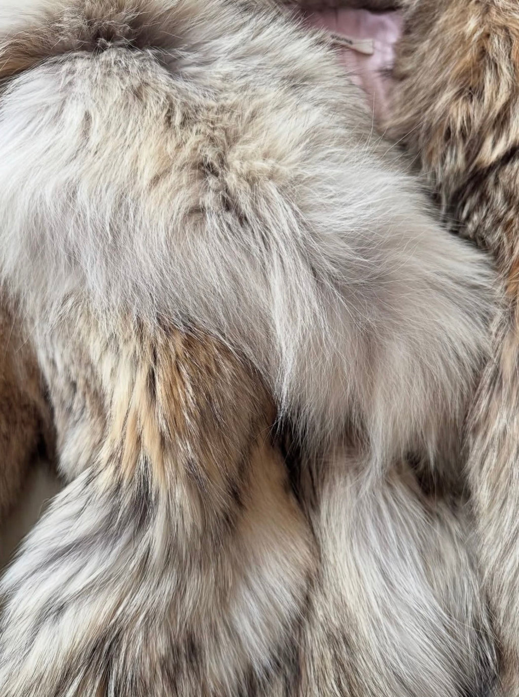 Coyote Fur Coat with "Eyelash" Art Print