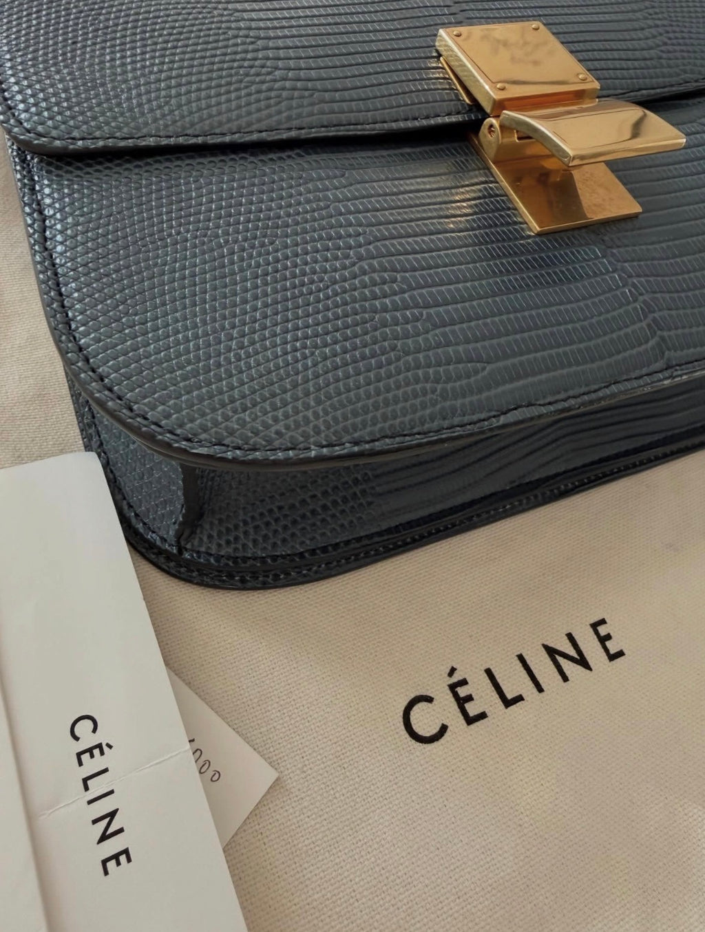 The Classic Medium Box Bag in Lizard