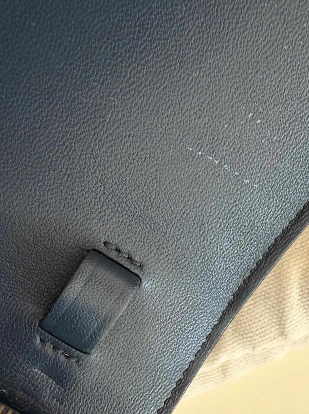 The Classic Medium Box Bag in Lizard