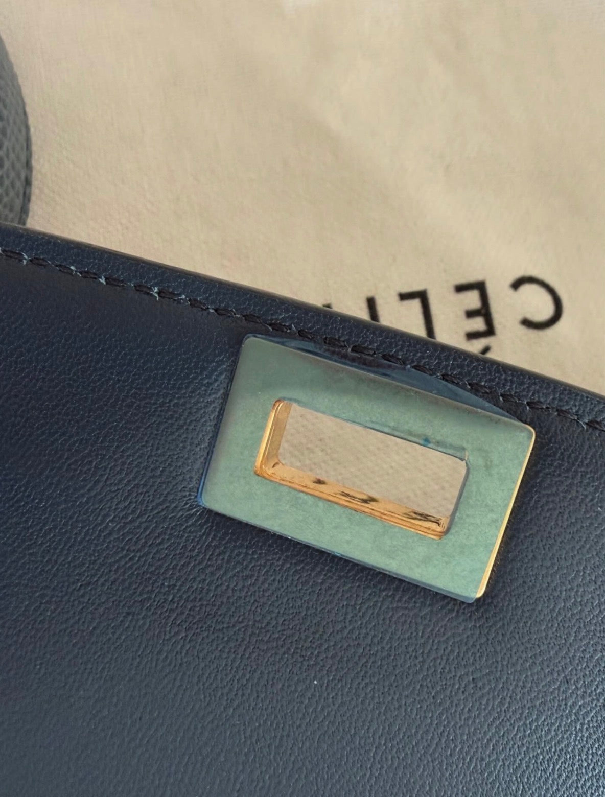 The Classic Medium Box Bag in Lizard