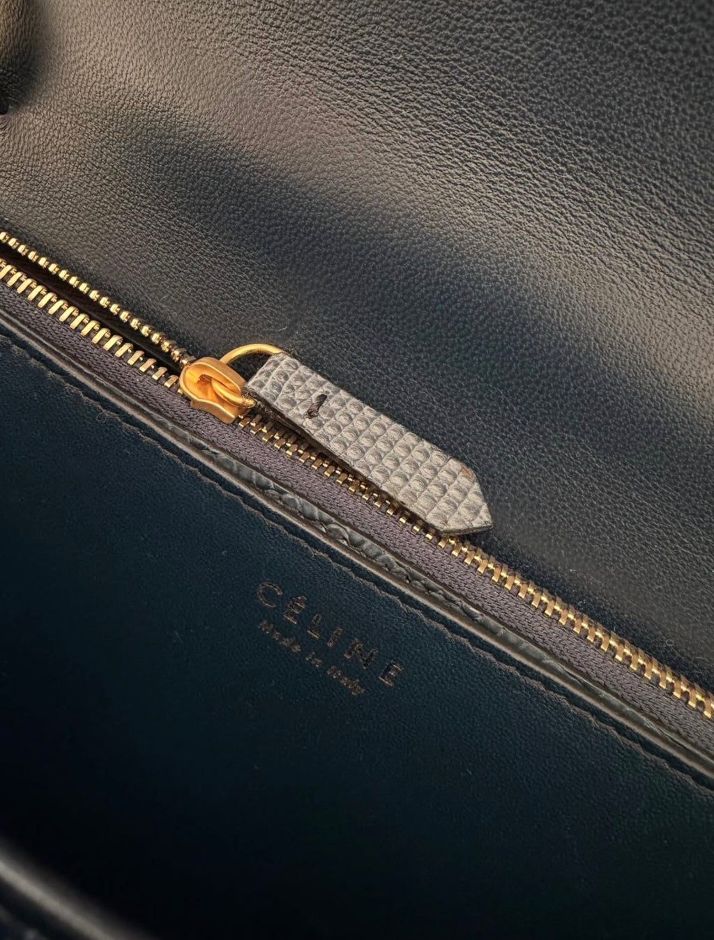 The Classic Medium Box Bag in Lizard