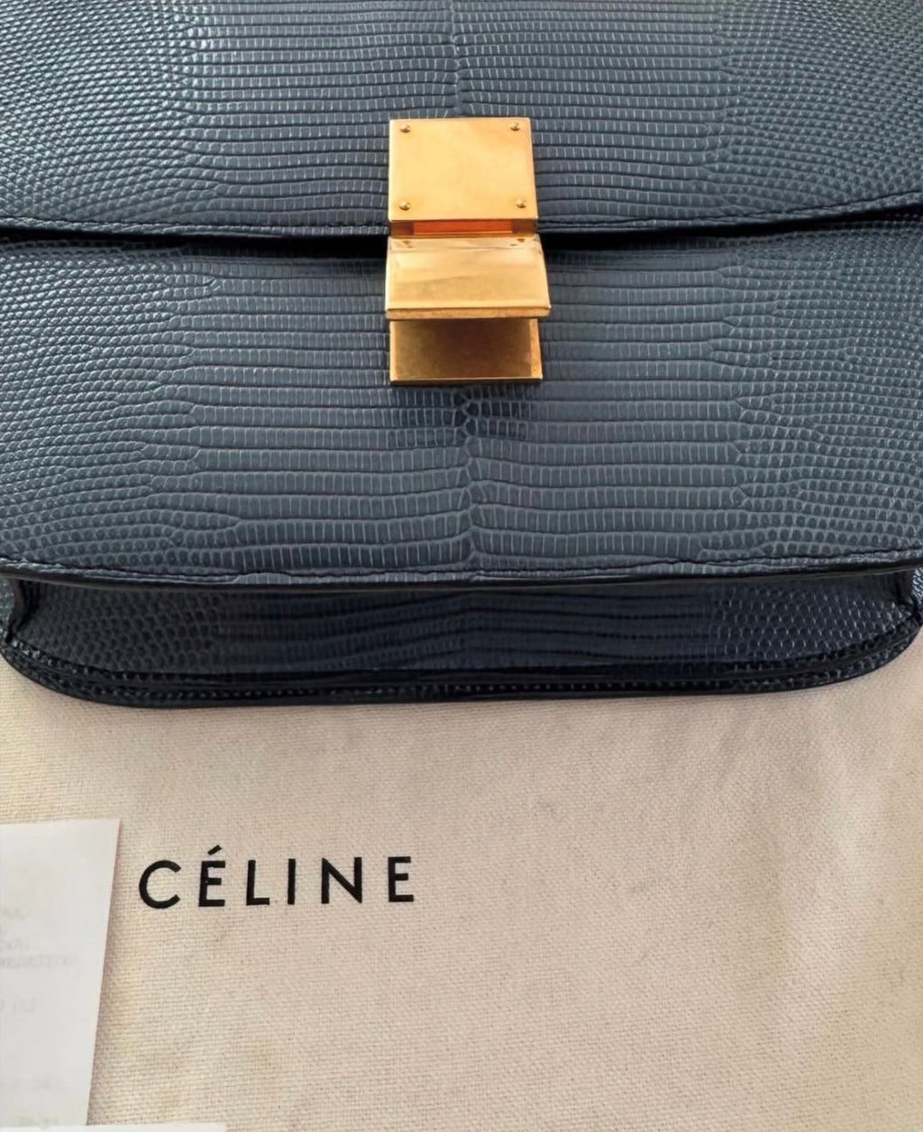 The Classic Medium Box Bag in Lizard