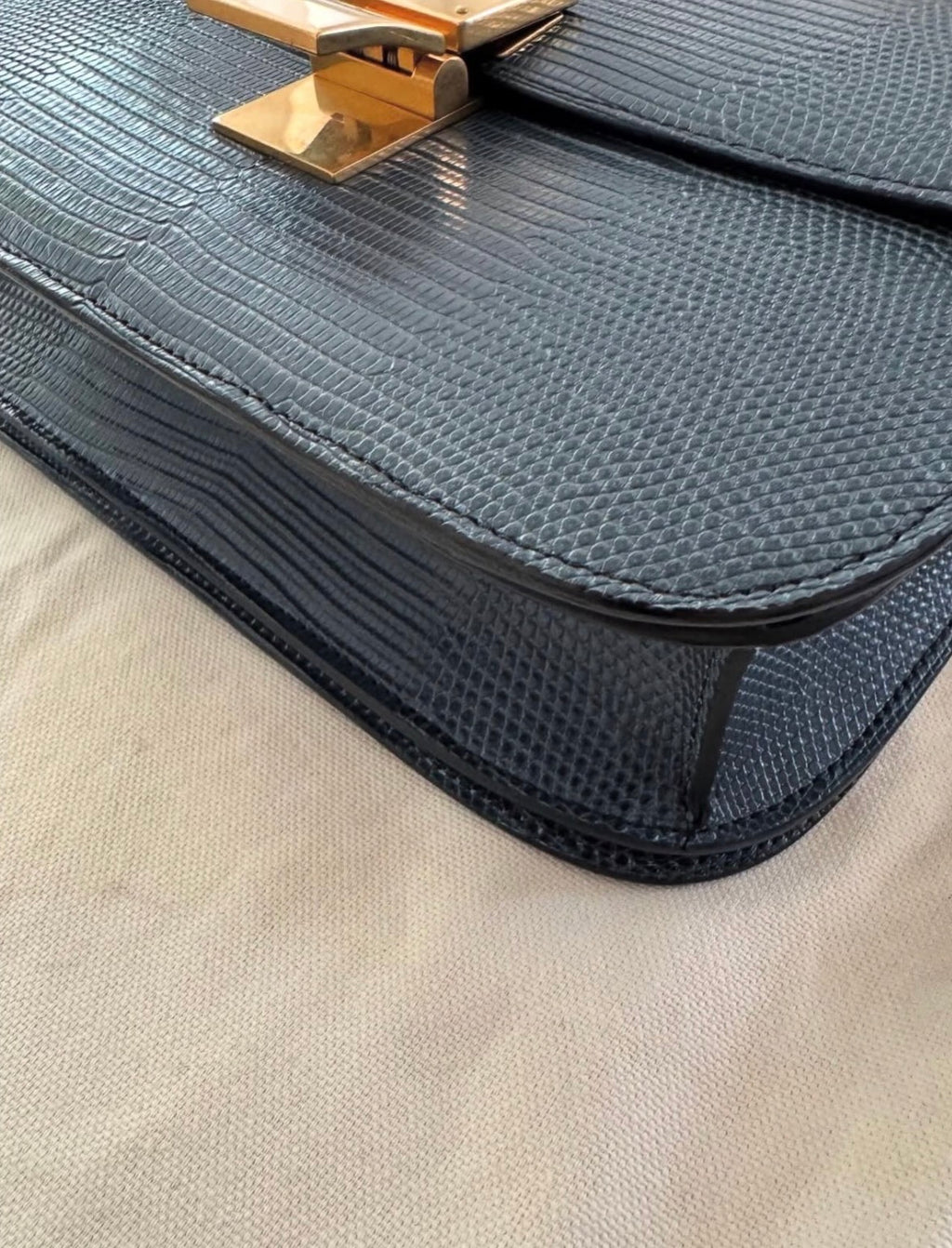 The Classic Medium Box Bag in Lizard