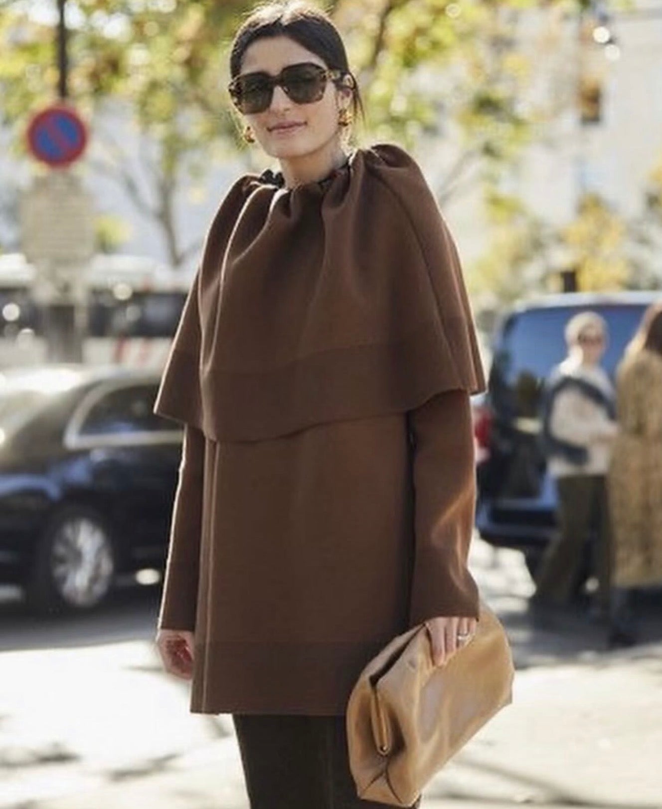 The Brown Collar Cape Top