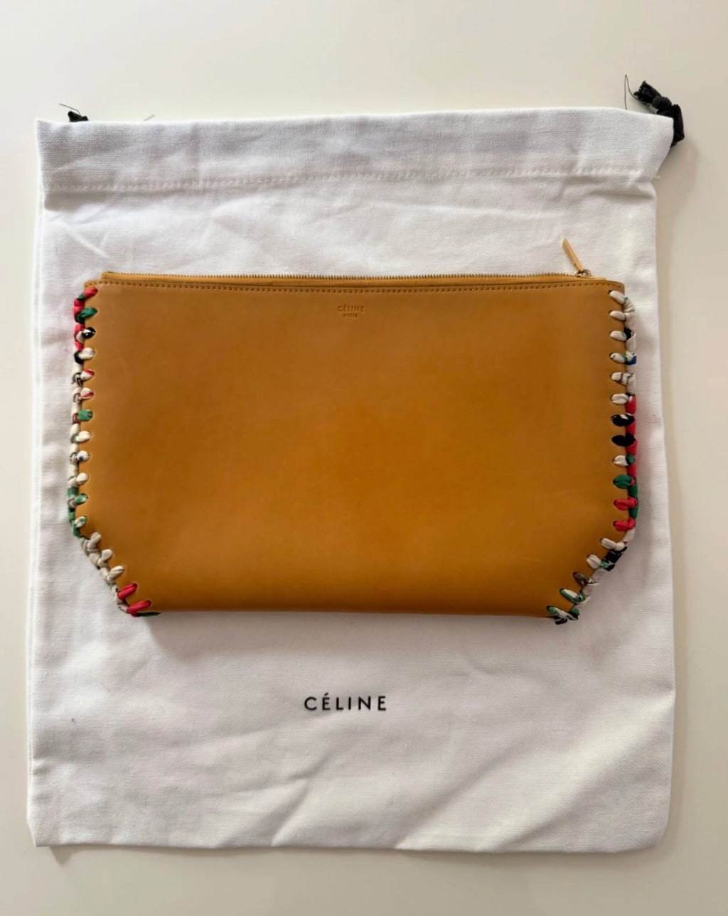 The Wonderland Silk Woven Clutch