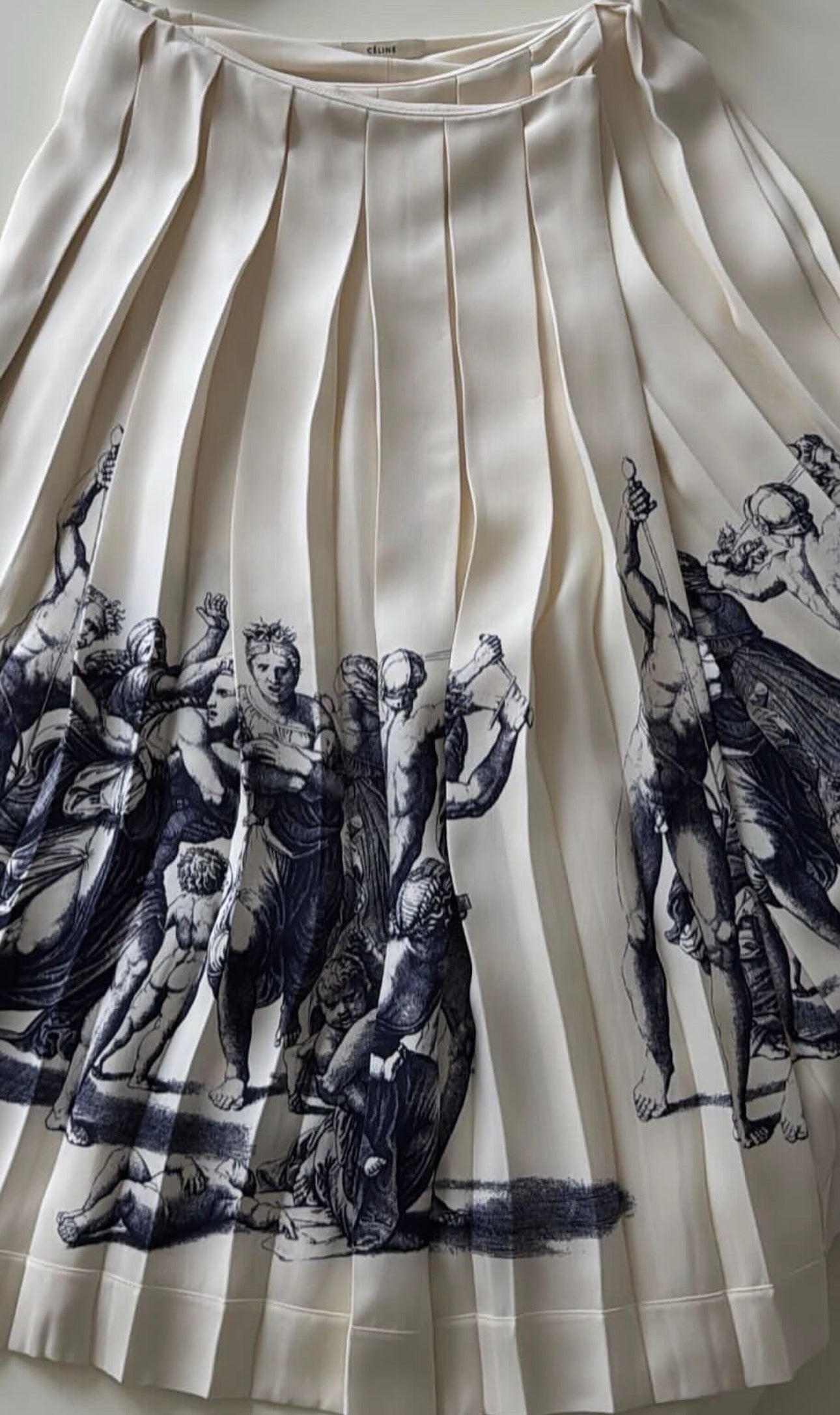 Pleated Graphic Skirt in Ecru Navy Print