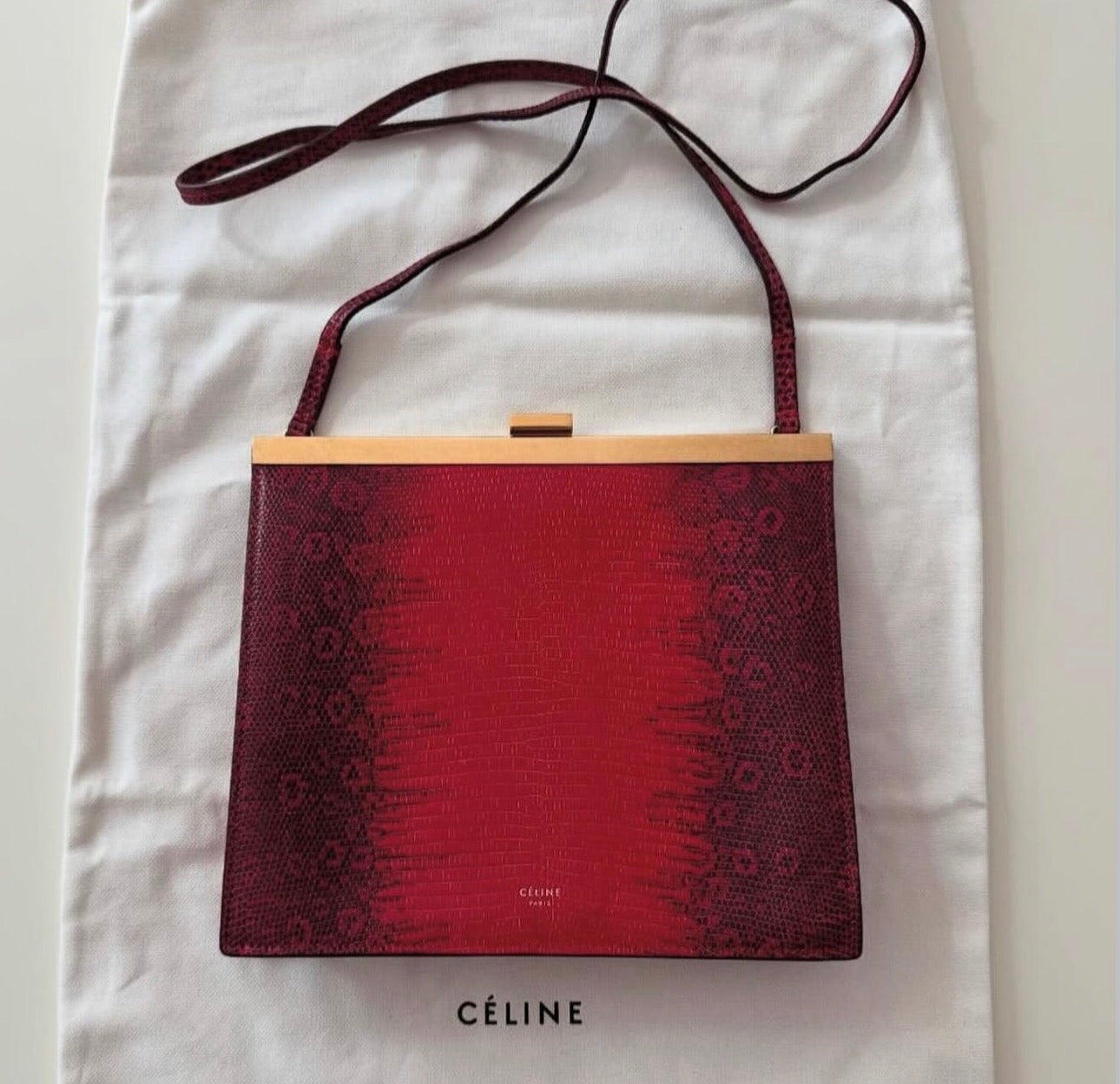 The Mini Clasp Bag in Red Lizard