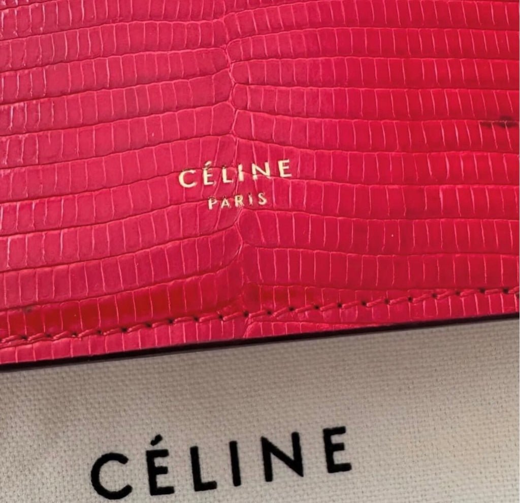 The Mini Clasp Bag in Red Lizard