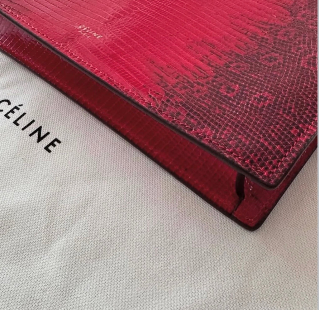 The Mini Clasp Bag in Red Lizard