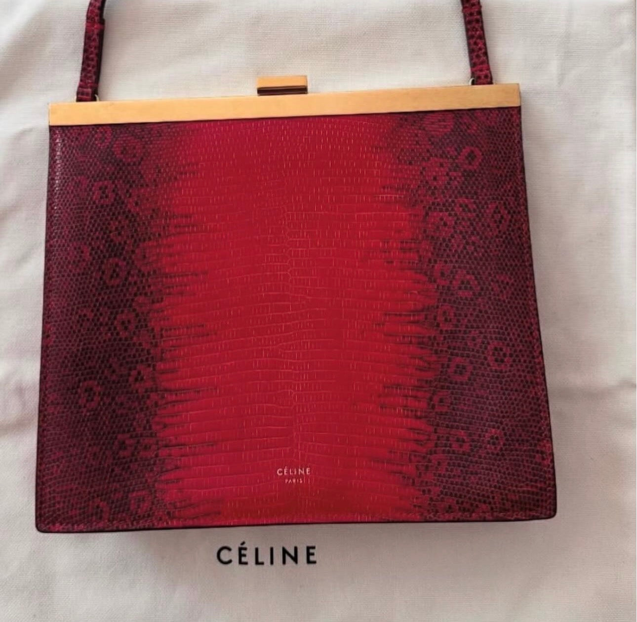 The Mini Clasp Bag in Red Lizard