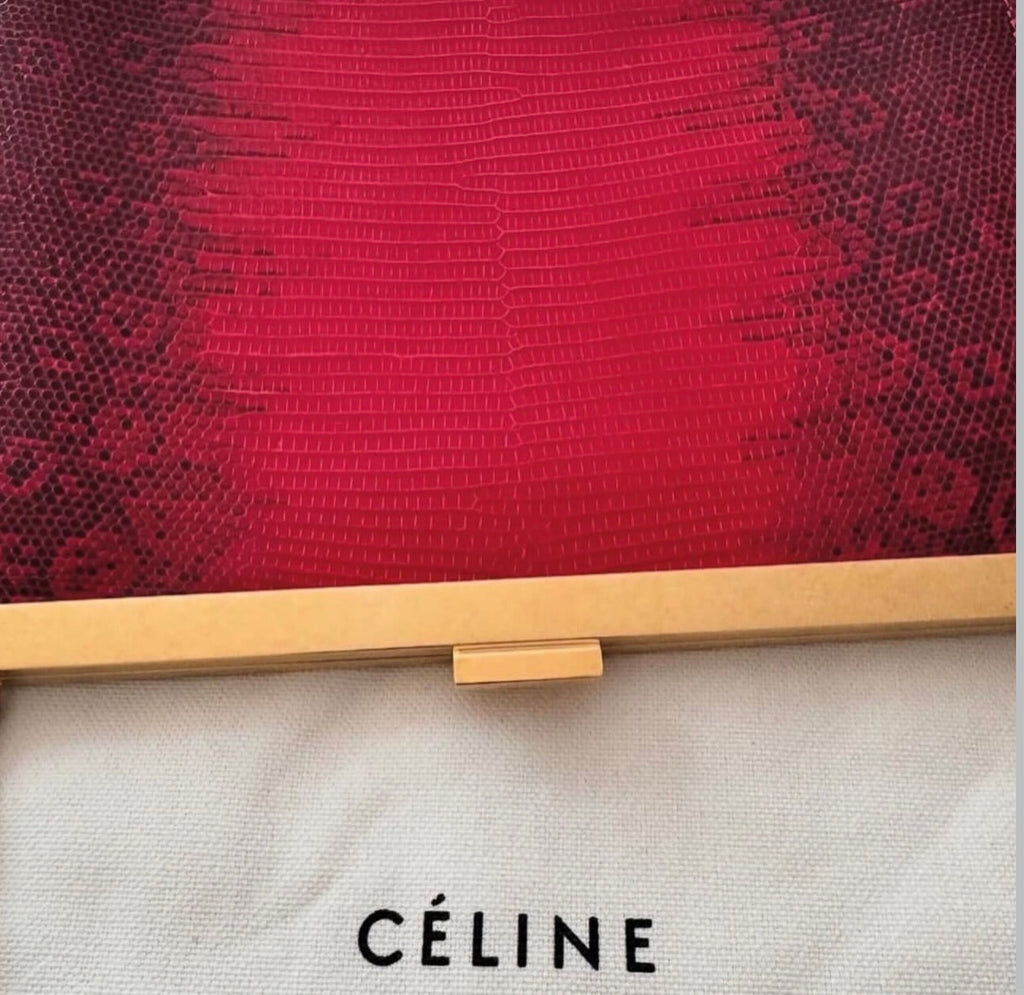 The Mini Clasp Bag in Red Lizard