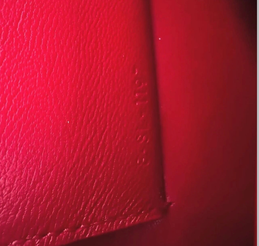 The Mini Clasp Bag in Red Lizard