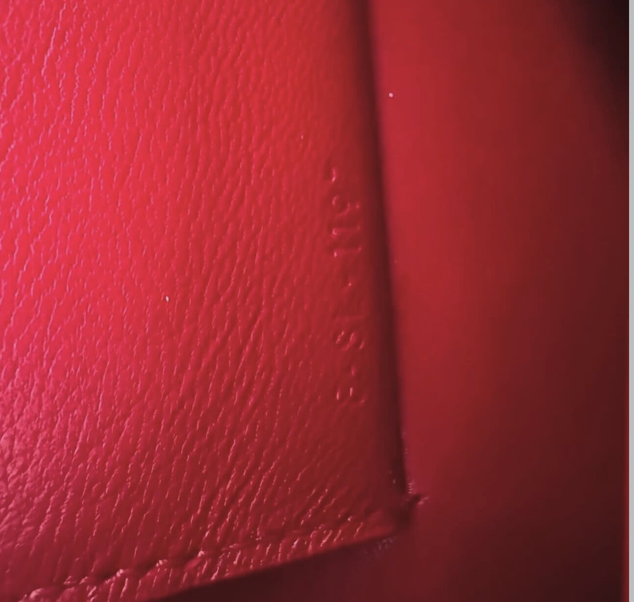 The Mini Clasp Bag in Red Lizard