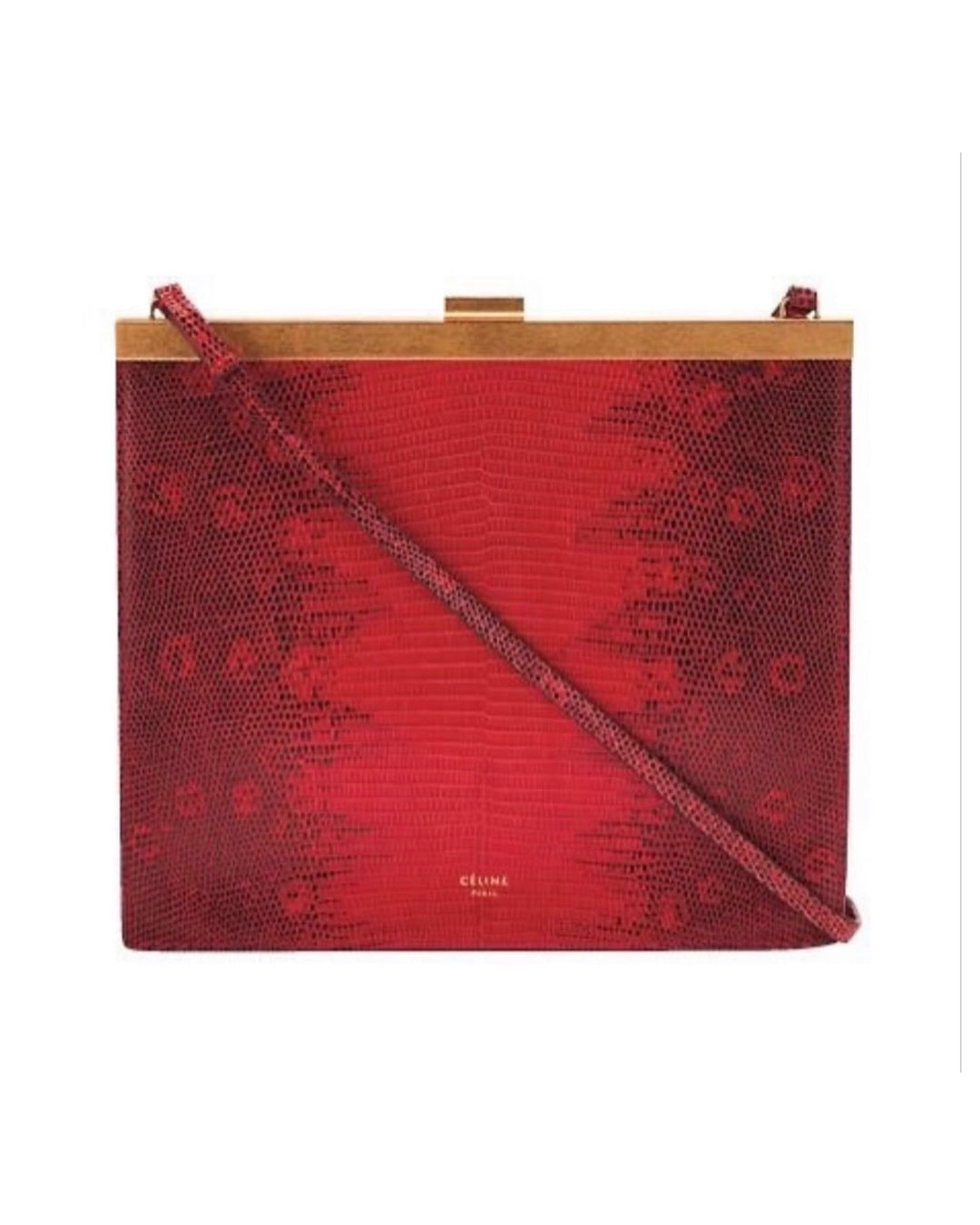 The Mini Clasp Bag in Red Lizard